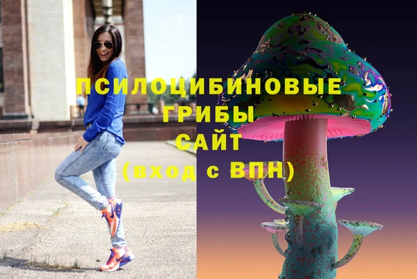 ALPHA-PVP Инсар