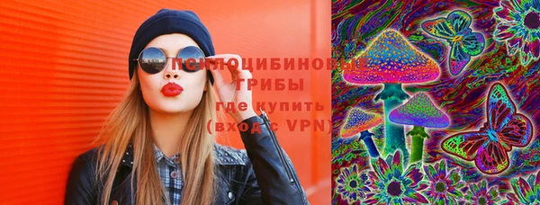 ALPHA-PVP Инсар